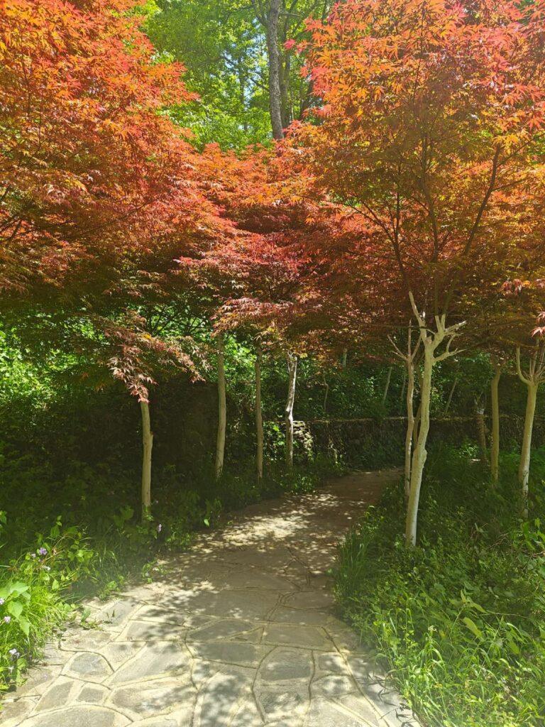 20260426清凉寨 (127)