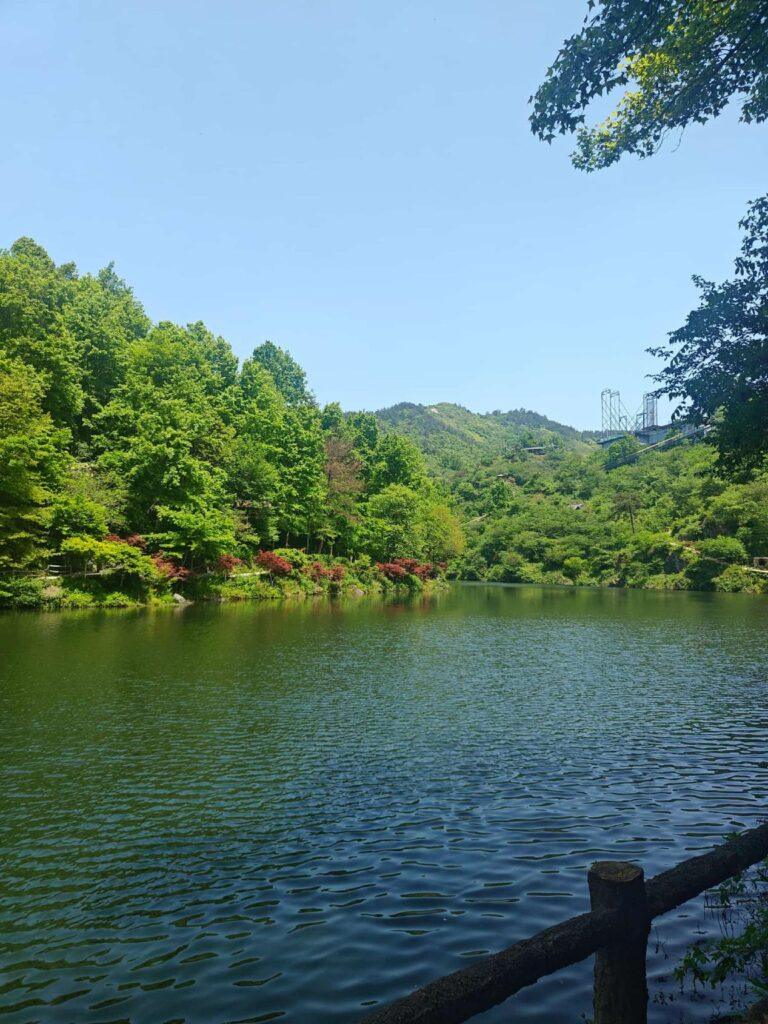 20260426清凉寨 (176)