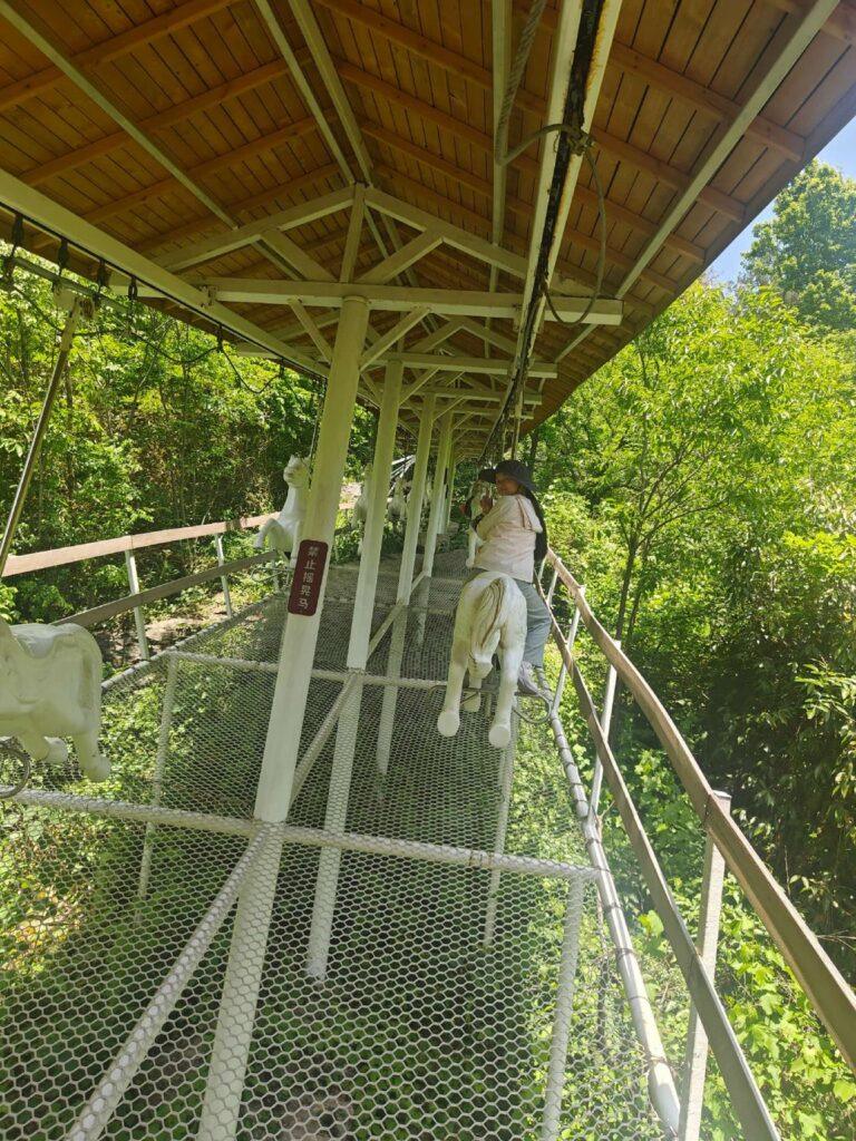 20260426清凉寨 (43)